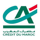 CDM logo