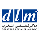 DLM logo