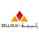 ZDJ logo
