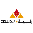 Zellidja s.a logo
